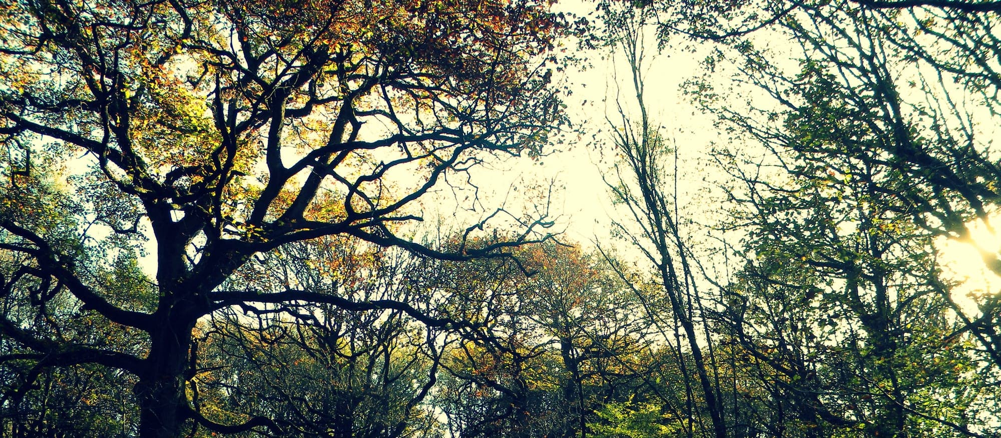 Hiking trails and cycle paths